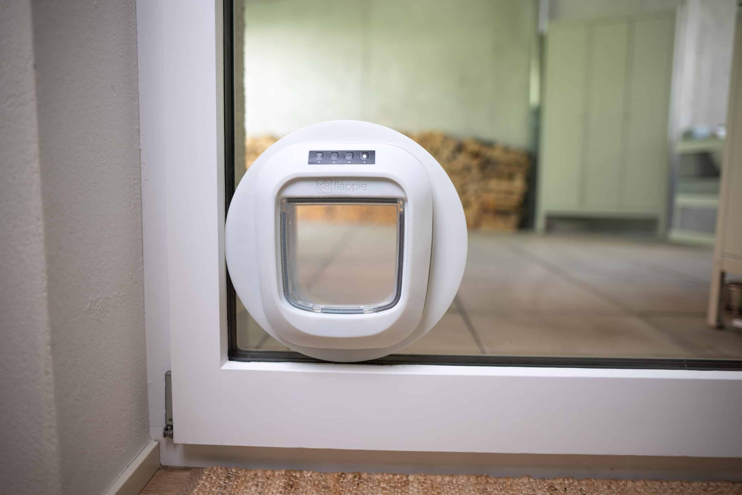 Katzenklappe Tür glas AI Produktfotografie Schweiz Zürich BeLighted